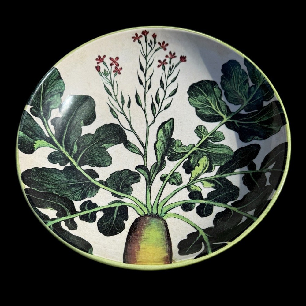 VTG 2012 Williams-Sonoma Farmers Market Pasta Bowl Beet Botanical Motif 10”
